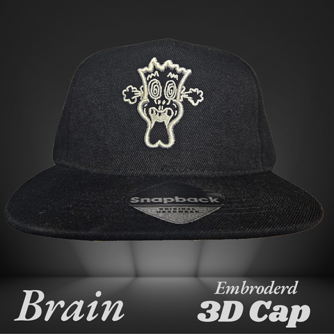 Brian Records 3D Embroidered Snapback Cap